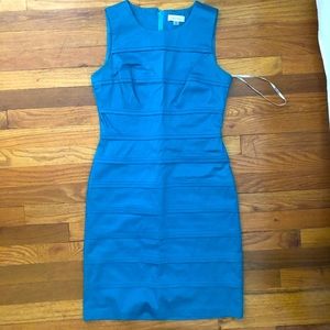 Calvin Klein Size 4 Bodycon Dress